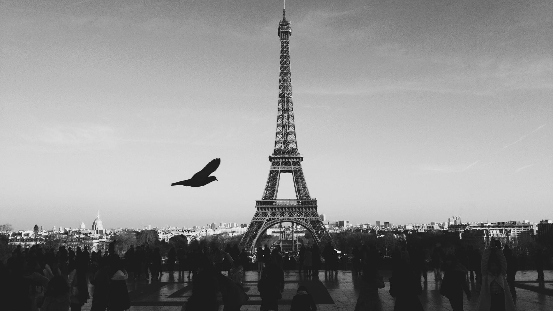 Torre Eiffel Parigi